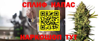 PSILOCYBIN Гусиноозёрск