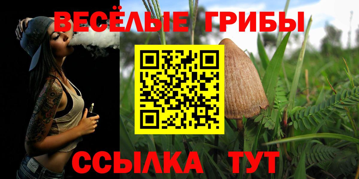 Владимир  Галлюциногенные грибы Magic Shrooms  Вход с VPN 