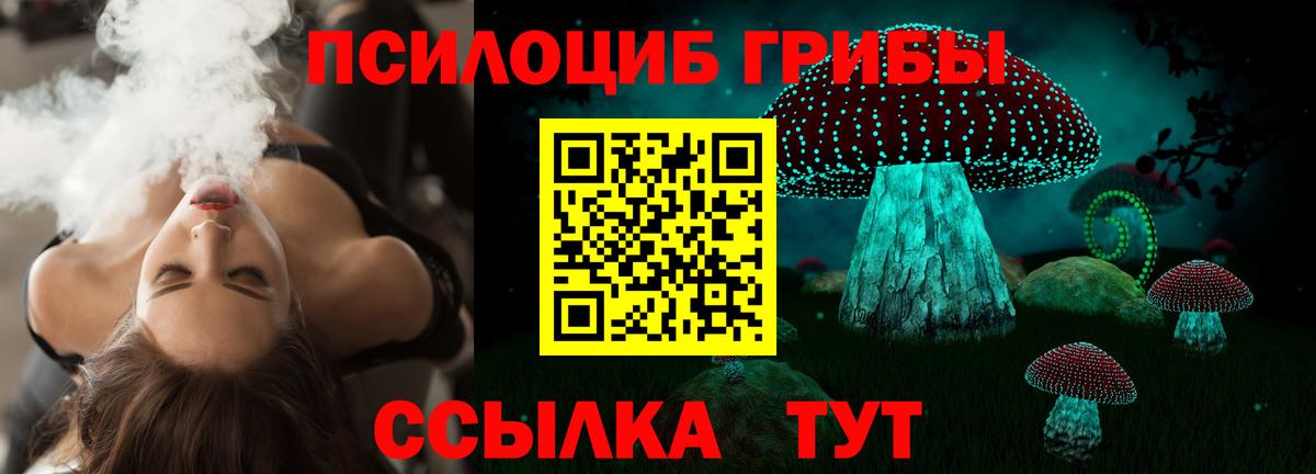 Псилоцибиновые грибы мухоморы Владимир
